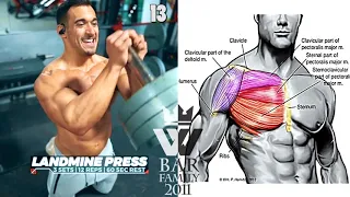 Best Chest Exercises for Building Strong Upper Body