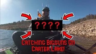 Catching Multi-Species On Black Friday - Carter Lake Kayak Fishing Colorado