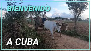 Cuba - Février 2020