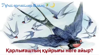 ҚАРЛЫҒАШТЫҢ ҚҰЙРЫҒЫ НЕГЕ АЙЫР? түнгі ертегі.