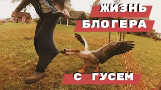 ГУСИН. LIfe