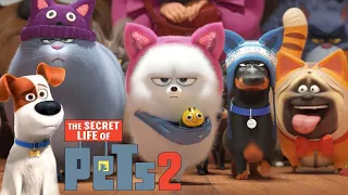 The Secret Life of Pets 2 Movie 2019 || The Secret Life of Pets 2 2019 Animated HD Movie Full Review