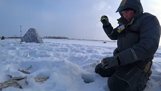 РЫБА КИШИТ под ЛУНКОЙ, ЭТУ МОРМЫШКУ ОНИ ЗАГЛАТЫВАЮТ ЦЕЛИКОМ! ХОРОШИЙ КЛЁВ КРУПНЯКА