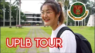 University of the Philippines Los Baños Campus Tour! | Arah Virtucio