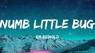 Em Beihold - Numb Little Bug (Lyrics)