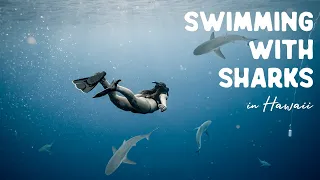 Swimming With Sharks In Hawaii - NO CAGE!