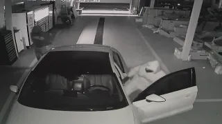 8 cars stolen from Arlington Heights collision shop