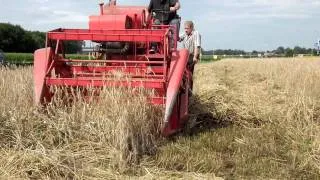 Massey Ferguson 630S Vlierden 002