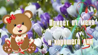 Привет от меня и хорошего дня!