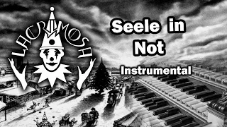 ►Lacrimosa | Seele in Not | INSTRUMENTAL COVER