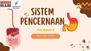 Bab 2  /  Sistem Pencernaan /  Materi IPA Kelas 8 Kurikulum Merdeka #Part2