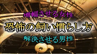 【恐怖の飼い慣らし方】不安奇異夜話ラジヲ変　【怪談作家】加藤一　出演！ 睡眠導入｜睡眠BGM｜怪談