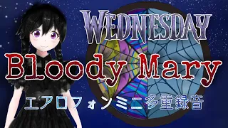 Bloody Mary/Lady GaGa【エアロフォンミニ多重録音】歌詞･和訳付き