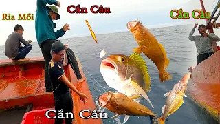 CÂU TAY 3║Gặp Điểm Rạn Chưa Ai Biết Đến,Cá Cắn Câu Liên Tục.