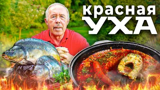 КРАСНАЯ УХА в КАЗАНЕ на КОСТРЕ. УХА из КАРПА. НОВИНКА в ПРИГОТОВЛЕНИИ УХИ.