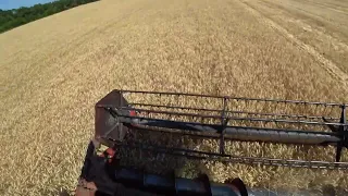 Уборка пшениці 2023. Комбайн Ліда 1300