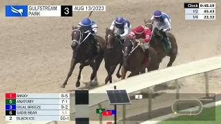 Gulfstream Park Carrera 3 - 13 de Agosto 2023