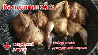 Охота на вальдшнепа на тяге весной 2022, Подмосковье.
