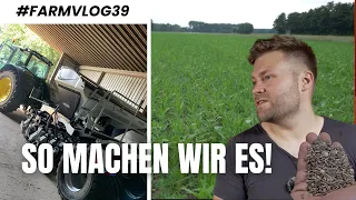 Neue Maschine?! 🫢 | Die Zwischenfrüchte sind drin 🌱 | FARMVLOG 39