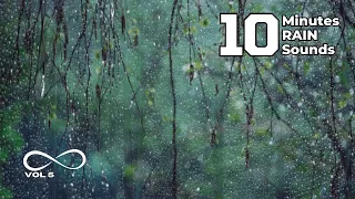 10 Minutes Gentle Rain Sounds | White Noise for Sleep, Study, Meditation