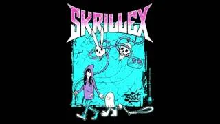 Skrillex - I Wish You All The Luck In The World