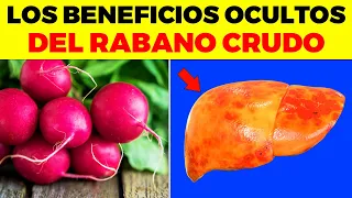 INCREIBLES BENEFICIOS de Comer Rábano Crudo para tu cuerpo, esto ocurre cuando comes rábano crudo