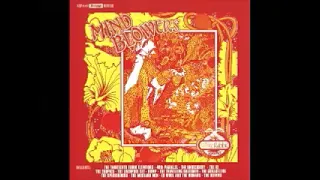 Various – Mind Blowers Vol 1 : 60's Garage Rock Psychedelic Folk Beat U.S.A. Bands Compilation LP