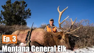 THREE Bulls In Three Days?! | 2019 Montana Post Rut Elk (Ep. 3)