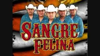 Sangre Felina- A Que Te Sabe El Amor Sin Mi