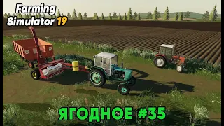 Farming Simulator 19. Карта Ягодное #35.