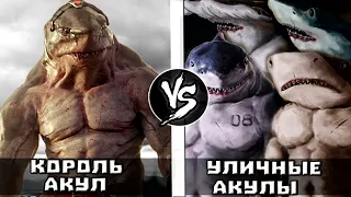 Король Акул VS Уличные Акулы (анонс)