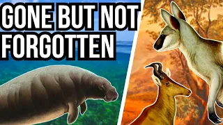 5 Recently Extinct Animals Gone But Not Forgotten