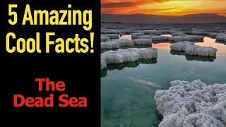 5 Fascinating Facts about the Dead Sea