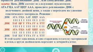 Механизм репликации ДНК