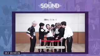 Stray Kids tickle moments #3