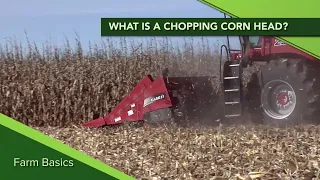 Farm Basics #1119 What is a Chopping Corn Head? (Air Date 9-15-19)
