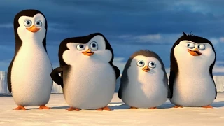 LES PINGOUINS DE MADAGASCAR de DreamWorks - "Documentaire Les Pingouins de Antarctica" - BELGIQUE