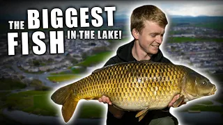 I Caught THE BIGGEST FISH In The Lake!