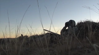 Wicked Close Range Early Morning Coyote Kill! Howling For Predators and Using Crow Decoys!