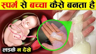 स्पर्म से पेट में बच्चा कैसे बनता है जानकर हैरान रहे जाओगे How baby Born