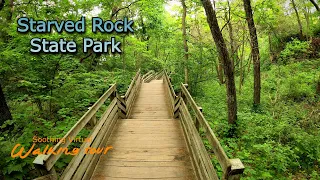 Virtual Hiking at Starved Rock State Park | Relaxing Nature Video