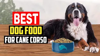 ✅ Top 5 Best Dog Food for Cane Corso in 2023