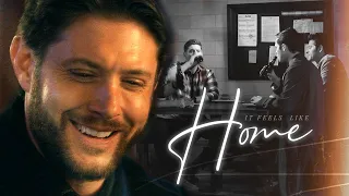 Feels Like Home | Dean/Cas (& family) | Alt-Ending ['Sorrow'-series 3]