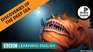 Discoveries of the deep sea - 6 Minute English