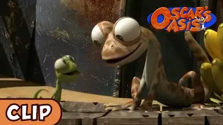 Oscar's Oasis - The Cutest Lizard | HQ | Funny Cartoons