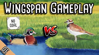 Wingspan Gameplay | A high-scoring showdown!