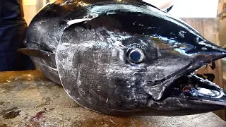 Japanese Food - GIANT BLUEFIN TUNA CUTTING  Skills Sashimi Japan