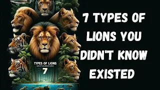 7 Types of lions you didn't know existed | Animal Facts | Extinct  Animals | Almost Extinct | Forest