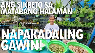 ANG SIKRETO SA MATABANG HALAMAN - Homemade Fertilizer o Compost | Haydee's Garden