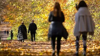 Bundesregierung plant striktere Corona-Einschränkungen